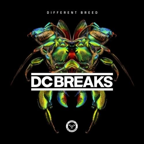 Постер DC Breaks - Different Breed (2017) MP3