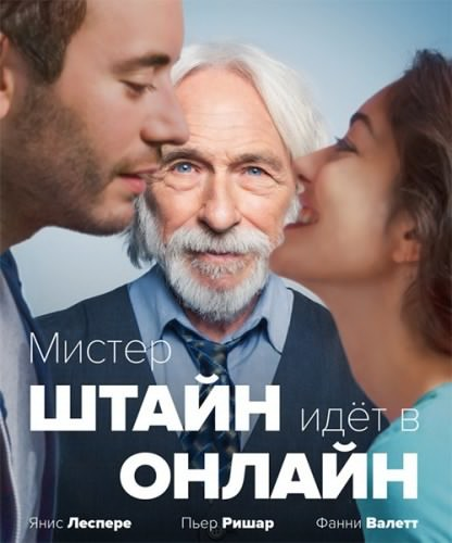 Постер Мистер Штайн идёт в онлайн / Un profil pour deux (2017)